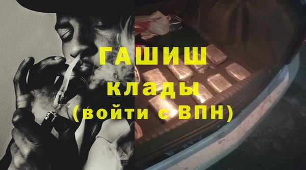 ГАЛЛЮЦИНОГЕННЫЕ ГРИБЫ Горно-Алтайск