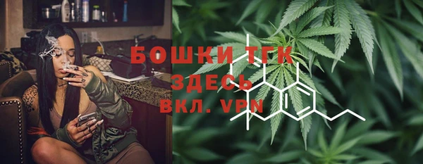 ГАЛЛЮЦИНОГЕННЫЕ ГРИБЫ Горно-Алтайск