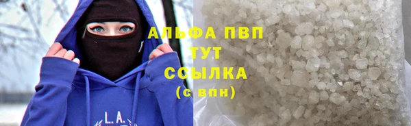 ГАЛЛЮЦИНОГЕННЫЕ ГРИБЫ Горно-Алтайск