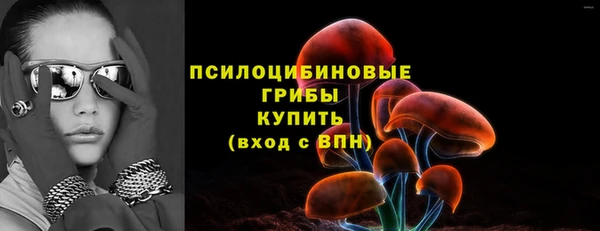 а пвп мука Горняк