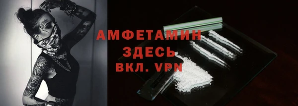 ГАЛЛЮЦИНОГЕННЫЕ ГРИБЫ Горно-Алтайск