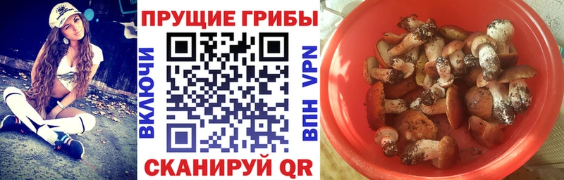 Галлюциногенные грибы Psilocybe  Купить где  Комсомольск 
